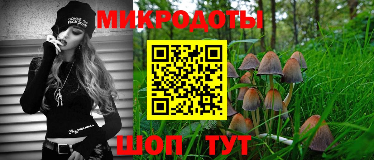 Осинники  Галлюциногенные грибы Psilocybine cubensis  Псилоцибиновые грибы прущие грибы  Вход с VPN 
