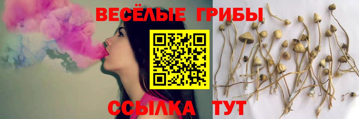 Псилоцибиновые грибы MAGIC MUSHROOMS Осинники